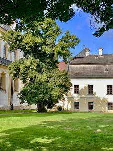 a tree in the middle of a yard in front of a building at Zámek Žďár in Žďár nad Sázavou