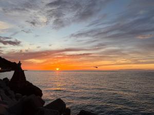 a sunset with a bird flying over the ocean at 自然に囲まれた海沿いの広い一軒家 貸切 佐渡 古民家 レッドジャスパーRedjasper in Sado +65 photos