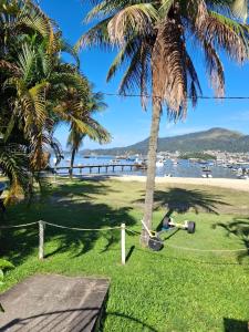 een palmboom met een camera op het strand bij casa dos MORAIS in Angra dos Reis