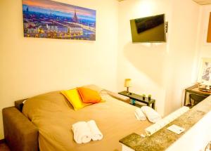 TV a/nebo společenská místnost v ubytování Comfortable apartment in the center