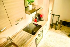 Kuchyň nebo kuchyňský kout v ubytování Comfortable apartment in the center + 6 fotografií