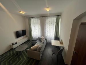 a living room with a couch and a tv at Apartmány PARK in Klášterec nad Ohří