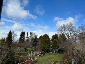 Zahrada ubytování Dorle