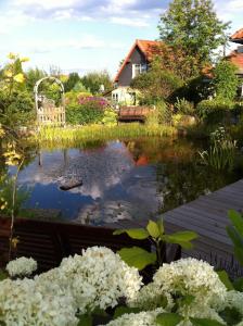 Zahrada ubytování Dorle