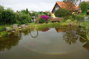 Příroda nedaleko apartmánu + 32 fotografií