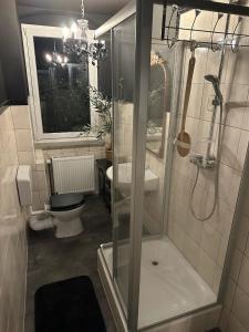 a bathroom with a shower and a toilet at Hildes Bett in Aschersleben