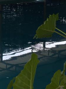 Θέα στο ποτάμι κοντά σε αυτό το δωμάτιο σε οικογενειακή κατοικία +45 φωτογραφίες