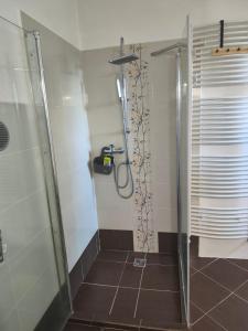 FryšavaにあるApartmán u Fryšávkyの浴室のガラス扉付きシャワー +27枚の写真