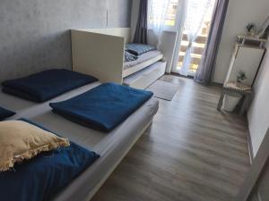 FryšavaにあるApartmán u Fryšávkyの青い枕が付いたベッド2台が備わる客室です。