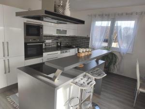 FryšavaにあるApartmán u Fryšávkyのキッチン(カウンター、コンロ付) トップオーブン