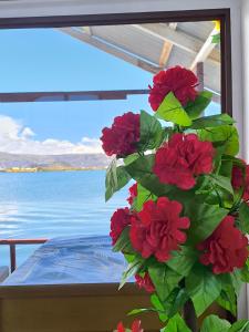 普诺Mary Titicaca lodge uros的窗户前有红花的植物