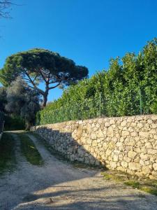 a stone wall with a tree in the background at L'ombre du vent in Contes
