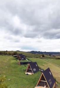 a row of camping tents in a field at Vatra Barsei in Tohanu Nou