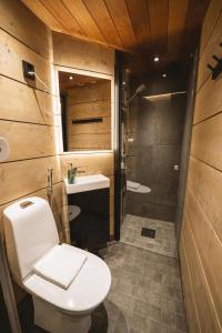 a bathroom with a toilet and a sink at Aurora Hill Resort, Rovaniemi in Rovaniemi +74 photos