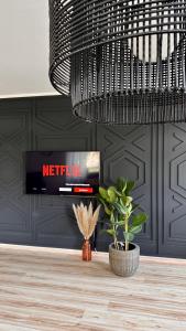 a television in a room with a potted plant at AMAO Amber - 120 m2 Group Apartment - 10 Guests - King-Size Beds - 2 Bathrooms - Free Parking in Rheinhausen