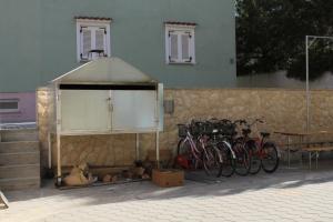 Jízda na kole v ubytování Apartments by the sea Povljana, Pag - 3316 nebo okolí