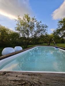 a swimming pool with two chairs in a yard at La Recompensa Tiny in Colonia Nuevo Paysandú
