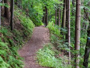 Φυσικό τοπίο κοντά σε αυτή η παραθεριστική κατοικία +16 φωτογραφίες