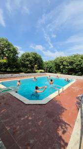 Bazén v ubytování Mango Bite Farmstay nebo v jeho okolí