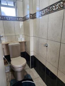 a bathroom with a toilet and a shower at 27 on North Beach in Durban
