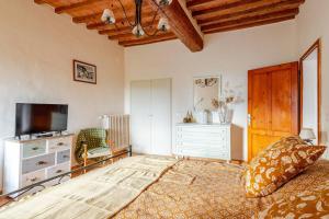 a bedroom with a large bed and a television at Il Tinaio di Mary in Cetona