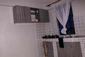 a bathroom with a sink and a window at Narok Comfy Homes in Narok