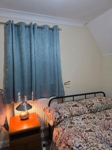 a bedroom with a bed and a blue curtain at Charming Colchester Room with Garden Views in Hythe