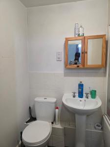 a bathroom with a toilet and a sink at Charming Colchester Room with Garden Views in Hythe