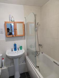 Un baño con lavabo y ducha en Charming Colchester Room with Garden Views, en Hythe