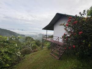 Příroda nedaleko rezortu