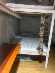an empty bunk bed with a curtain on it at Big J Hostel in Ninh Binh