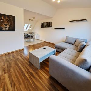 a living room with a couch and a table at Moritz Apartments - Dosborn 7 in Dingelstädt