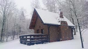 Το Domek w lesie DiABELSKi KOCiOŁEK τον χειμώνα