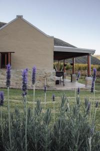 Κήπος έξω από το Vogelsang Farm Cottage