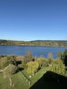 a view of a field with trees and a lake at L'Échappée Belle du Lac in Malbuisson