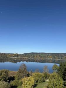 a view of a lake with trees in the background at L'Échappée Belle du Lac in Malbuisson