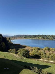 a view of a river with trees and a field at L'Échappée Belle du Lac in Malbuisson