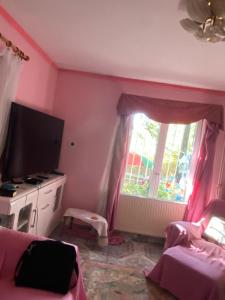 ブダエルシュにあるPrivat szobak 3のテレビと窓のあるピンク色の部屋