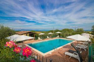 Πισίνα στο ή κοντά στο Ground Floor Apartment By Lake Trasimeno