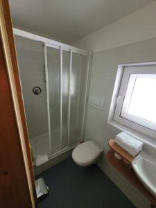a bathroom with a shower and a toilet and a window at Gassermühle - Studio Appartments in Eggen