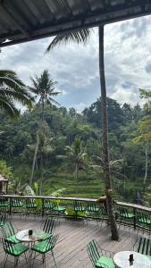 Příroda nedaleko ubytování na lodi