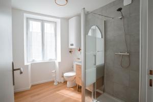 a bathroom with a shower and a toilet at Charmant T2 plein centre in Saint-Astier +4 photos