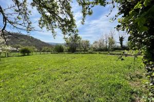 ein Feld aus grünem Gras mit Bergen im Hintergrund in der Unterkunft Les Gites de Louisette Le 974 in Ébreuil