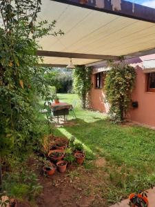 un patio avec une table et des plantes en pot dans une cour dans l'établissement La Casa de Ana, à San Rafael 9 autres photos