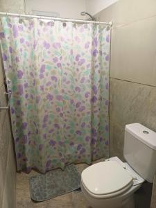 a bathroom with a toilet and a shower curtain at Catalina - Excelente ubicación en pleno centro - 2B in Santa Fe