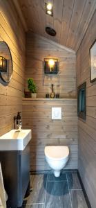 un baño con inodoro y lavabo en White Cabin With Jacuzzi And Fjord Views, en Bernes