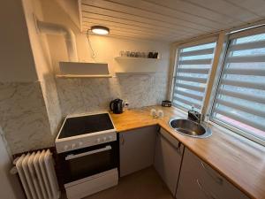 a small kitchen with a stove and a sink at Hel ændre men hyggelig lejlighed in Sønderborg +26 photos