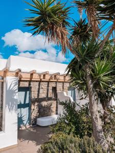a house with palm trees in front of it at Crystal Suites in Mýkonos City