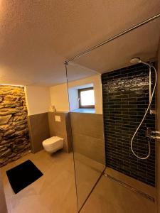 a bathroom with a toilet and a glass shower at Trail & Tiefschnee Lodge in Reith im Alpbachtal