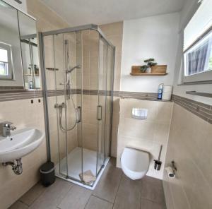 a bathroom with a shower and a toilet and a sink at Mosel-Auszeit in Brauneberg +36 photos
